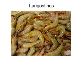 Langostinos