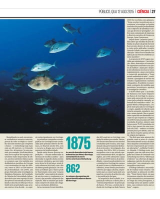 PÚBLICO,QUA12AGO2015 | CIÊNCIA | 27
cie existe igualmente no Gorringe.
As primeiras campanhas oceano-
gráﬁcas no Gorringe foram condu-
zidas pelo príncipe Alberto do Mó-
naco, no ﬁnal do século XIX, com
o recurso a dragas para recolher
amostras de biodiversidade.
Desde então houve diversas ex-
pedições — e foram melhoradas as
técnicas de recolha e análise — para
desvendar os segredos desta enorme
estrutura vulcânica, que terá sido
terra ﬁrme há 18 mil anos, tendo ﬁ-
cado submersa há 14 mil, com o ﬁm
da última grande glaciação. Os cien-
tistas acreditam que o banco pode
ter funcionado como uma “estação
intermédia”, uma espécie de estação
de serviço entre o continente e os
Açores, que permitiu a dispersão das
espécies. Mas os estudos que pode-
riam comprová-lo ainda não chega-
ram a conclusões deﬁnitivas.
Até ao momento foram identiﬁca-
Mergulhando no azul, encontram-
se verdadeiros tesouros naturais,
provas do valor ecológico e cientí-
ﬁco dos dois montes que compõem
o banco — o Gettysburg (cujo topo
está aos 28 metros) e o Ormonde
(entre 34 e 46 metros). No ano pas-
sado, por exemplo, foi ali descoberta
uma nova espécie de esponja cris-
tal (fonte muito importante de silí-
cio, um dos nutrientes básicos para
os oceanos), que vive também nos
desﬁladeiros marinhos da Córsega
e em montanhas do mar de Albo-
rán, entre os 350 e os 500 metros
de profundidade. Em 2000, um
grupo liderado pela investigadora
Madalena Humanes, da Faculdade
de Ciências da Universidade Lisboa,
descobriu que uma esponja (Erylus
discophorus) encontrada na Nova Ze-
lândia e descrita em 1862 por Oscar
Smith tem propriedades que actu-
am contra o vírus da sida — e a espé-
das 862 espécies no Gorringe, mas
ainda há muitas por estudar. Destas,
350 foram descobertas em missões
conduzidas pela Oceana, uma orga-
nização não governamental dedica-
da à protecção e investigação dos
oceanos. Em 2011 e 2012, a Oceana
mergulhou com o seu veículo ope-
rado remotamente (ROV, na sigla em
inglês), um robô submarino capaz
de ir até aos 3000 metros de profun-
didade, e reportou pela primeira vez
a existência no Gorringe de campos
de maërl (como a Lithothamnion co-
rallioides), termo bretão para fundos
cobertos por algas calcárias, impor-
tantes para a conservação pelo seu
papel na correcção da acidez do solo
e na puriﬁcação da água.
Na sequência deste achado, a or-
ganização reforçou o alerta para a
“extrema importância” da protecção
do banco. Por isso, a notícia da in-
clusão do Gorringe na Rede Natura
2000 foi recebida com aplausos.
“Estas acções incentivam-nos a
continuar a investigar os fundos
marinhos de grande profundidade
com o objectivo de identiﬁcar os lo-
cais que devem ser protegidos”, re-
fere num comunicado de imprensa
o director executivo da Oceana na
Europa, Lasse Gustavsson.
Depois deste “primeiro passo”,
falta saber que medidas ﬁcarão de-
ﬁnidas no plano de gestão (terá de
ﬁcar pronto dentro de seis anos)
e como serão aplicadas, ressalva
Gonçalo Calado, para quem a clas-
siﬁcação “deixa novos desaﬁos na
aplicação da Directiva Habitats ao
meio marinho”.
A proposta do ICNF sugere me-
didas que minimizem a “perturba-
ção, dano, destruição ou remoção
de organismos marinhos e/ou par-
tes do habitat”, impeçam o despe-
jo de substâncias nocivas no local,
regulamentem a pesca recreativa
e comercial, garantindo o “bom
estado ambiental do sítio”, condi-
cionem a passagem de navios em
trânsito e regulamentem o turismo
subaquático. É também recomen-
dada a adopção de medidas que
permitam, incentivem e apoiem
a investigação cientíﬁca.
O ICNF refere que “a activida-
de humana com maior impacto
no Banco de Gorringe é a pesca,
tanto pela extracção de recursos,
como pela poluição causada, so-
bretudo lixo marinho e ruído”. Se-
gundo Mónica Albuquerque, a es-
pécie mais pescada no Gorringe é
o congro, seguido do tubarão-azul,
tubarão-anequim, espadarte, mo-
reia e atum-patudo. Mas a quanti-
dade capturada tem diminuído (ex-
cepto no que respeita ao congro):
em 2010 foram pescadas 225.5816
toneladas de peixe, número que
baixou para 75.076 toneladas em
2011 e para menos de uma tone-
lada em 2012 — embora os dados
possam pecar por defeito, uma vez
que dizem respeito apenas à frota
de origem portuguesa.
“Eu diria que uma ameaça tão
grande como a pesca é o nosso
desconhecimento acerca da dinâ-
mica daquelas comunidades e dos
factores responsáveis por eventu-
ais alterações”, sublinha Frederi-
co Almada. O biólogo nota, por
exemplo, que em cada novo mer-
gulho nos cumes do Ormonde e do
Gettysburg encontrou “diferenças
evidentes” na cobertura de algas e
nalgumas espécies de peixes não
comerciais”, em comparação com
mergulhos anteriores.
O biólogo defende a necessida-
de de realizar mais estudos e de
aprofundar as pistas já recolhi-
das. “Num futuro ideal, em que
tivéssemos estações de monitori-
zação sistemáticas e permanentes
ao longo da costa portuguesa, o
Gorringe seria um óptimo candi-
dato, caso existam meios para o
fazer”, sugere.
FOTOS: CARLOS SUÁREZ/OCEANA
1875éoanodadescobertadobanco
submarinoporHenryGorringe,
comandantedonavio
norte-americanoGettysburg
862éonúmerodeespéciesaté
agoraidentificadasnoBanco
deGorringe
 