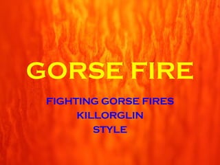 FIGHTING GORSE FIRES KILLORGLIN STYLE GORSE FIRE 