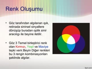 Renk Oluşumu

• Göz tarafından algılanan ışık,
  retinada sinirsel sinyallere
  dönüşüp buradan optik sinir
  aracılıgı ile beyine iletilir.

• Göz 3 Temel birleştirici renk
  olan Kırmızı, Yeşil ve Maviye
  tepki verir.Beyin Diğer renkleri
  bu 3 rengin kombinasyonları
  şeklinde algılar.
 