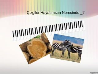 Çizgiler Hayatımızın Neresinde _?
 