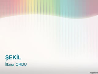 ŞEKİL
İlknur ORDU
 