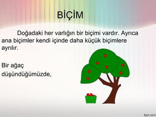 BİÇİM
       Doğadaki her varlığın bir biçimi vardır. Ayrıca
ana biçimler kendi içinde daha küçük biçimlere
ayrılır.

Bir ağaç
düşündüğümüzde,
 
