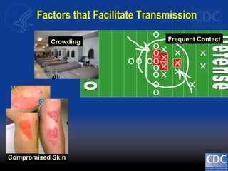 Frequent ContactCrowding
Compromised Skin
Factors that Facilitate Transmission
 
