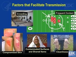Frequent Contact
Cleanliness
Crowding
Contaminated Surfaces
and Shared ItemsCompromised Skin
Factors that Facilitate Transmission
 