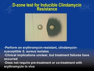 D-zone test for Inducible Clindamycin
Resistance
CCE
-Perform on erythromycin-resistant, clindamycin-
susceptible S. aureus isolates
-Clinical implications unclear, but treatment failures have
occurred
-Does not require pre-treatment or co-treatment with
erythromycin in vivo
 