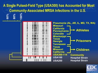 100%
80%
60%
Athletes
Prisoners
Children
Hospital Strain
Hospital Strain
Missouri
California
Texas
Pennsylvania
Texas
Mississippi
Colorado
Georgia
Missouri
Tennessee
USA300-114
USA100
USA200
Community
California
Pneumonia (AL, AR, IL, MD, TX, WA)
100%
80%
60%
Athletes
Prisoners
Children
Hospital Strain
Hospital Strain
Missouri
California
Texas
Pennsylvania
Texas
Mississippi
Colorado
Georgia
Missouri
Tennessee
USA300-114
USA100
USA200
Community
California
Pneumonia (AL, AR, IL, MD, TX, WA)
100%
80%
60%
Athletes
Prisoners
Children
Hospital Strain
Hospital Strain
Missouri
California
Texas
Pennsylvania
Texas
Mississippi
Colorado
Georgia
Missouri
Tennessee
USA300-114
USA100
USA200
Community
California
Pneumonia (AL, AR, IL, MD, TX, WA)
100%
80%
60%
Athletes
Prisoners
Children
Hospital Strain
Hospital Strain
Missouri
California
Texas
Pennsylvania
Texas
Mississippi
Colorado
Georgia
Missouri
Tennessee
USA300-114
USA100
USA200
Community
California
Pneumonia (AL, AR, IL, MD, TX, WA)
100%
80%
60%
Athletes
Prisoners
Children
Hospital Strain
Hospital Strain
Missouri
California
Texas
Pennsylvania
Texas
Mississippi
Colorado
Georgia
Missouri
Tennessee
USA300-114
USA100
USA200
Community
California
Pneumonia (AL, AR, IL, MD, TX, WA)
100%
80%
60%
Athletes
Prisoners
Children
Hospital Strain
Hospital Strain
Missouri
California
Texas
Pennsylvania
Texas
Mississippi
Colorado
Georgia
Missouri
Tennessee
USA300-114
USA100
USA200
Community
California
Pneumonia (AL, AR, IL, MD, TX, WA)
A Single Pulsed-Field Type (USA300) has Accounted for Most
Community-Associated MRSA Infections in the U.S.
 