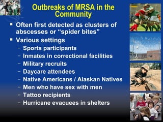 Outbreaks of MRSA in the
Community
 Often first detected as clusters of
abscesses or “spider bites”
 Various settings
– Sports participants
– Inmates in correctional facilities
– Military recruits
– Daycare attendees
– Native Americans / Alaskan Natives
– Men who have sex with men
– Tattoo recipients
– Hurricane evacuees in shelters
 