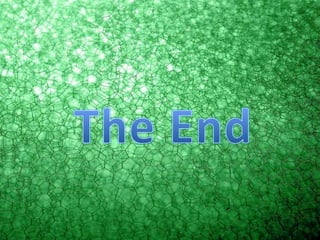 The End