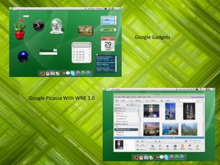 Google GadgetsGoogle Picassa With WNE 1.0