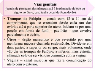 Vias genitais
(canais de passagem dos gâmetas, até à implantação do ovo ou
zigoto no útero, caso tenha ocorrido fecundação).
• Trompas de Falópio – canais com 12 a 14 cm de
comprimento, que se estendem desde cada um dos
ovários até à parte superior do útero. Iniciam-se por uma
porção em forma de funil – pavilhão – que envolve
parcialmente o ovário.
• Útero – órgão musculoso e oco revestido por uma
membrana mucosa chamada endométrio. Divide-se em
duas partes: a superior ou corpo, mais volumosa, onde
vão dar as trompas de Falópio; a inferior, mais estreita,
chamada colo ou cervix, que comunica com a vagina.
• Vagina – canal muscular que faz a comunicação do
útero com o exterior.
 