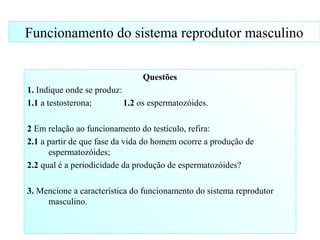 Funcionamento do sistema reprodutor masculino
Questões
1. Indique onde se produz:
1.1 a testosterona; 1.2 os espermatozóides.
2 Em relação ao funcionamento do testículo, refira:
2.1 a partir de que fase da vida do homem ocorre a produção de
espermatozóides;
2.2 qual é a periodicidade da produção de espermatozóides?
3. Mencione a característica do funcionamento do sistema reprodutor
masculino.
 