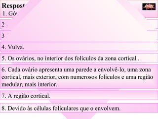 Respostas:
 1. Gónadas, vias genitais, órgão sexual externo.
2. Ovários. Dois.
3. Útero, trompas e vagina.
4. Vulva.
5. Os ovários, no interior dos folículos da zona cortical .
6. Cada ovário apresenta uma parede a envolvê-lo, uma zona
cortical, mais exterior, com numerosos folículos e uma região
medular, mais interior.
7. A região cortical.
8. Devido às células folículares que o envolvem.
 
