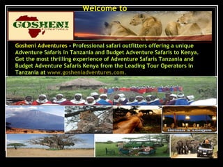 Welcome to  Gosheni Adventures  -  Professional safari outfitters offering a unique Adventure Safaris in Tanzania and Budget Adventure Safaris to Kenya. Get the most thrilling experience of Adventure Safaris Tanzania and Budget Adventure Safaris Kenya from the Leading Tour Operators in Tanzania at  www.gosheniadventures.com . 