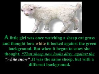 A little girl was once watching a sheep eat grass
and thought how white it looked against the green
   background. But when it began to snow she
 thought, “That sheep now looks dirty against the
 “white snow” .It was the same sheep, but with a
             different background.
 