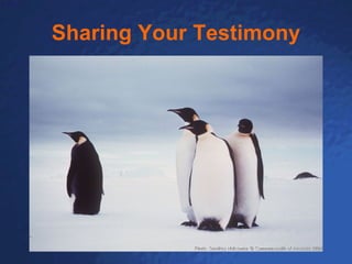 Sharing Your Testimony 