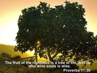 The fruit of the righteous is a tree of life, and he who wins souls is wise. Proverbs 11:30 