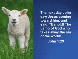 Lamb of God The next day John saw Jesus coming toward him, and said, “Behold! The Lamb of God who takes away the sin of the world! John 1:29 