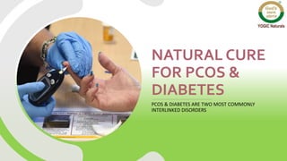 NATURAL CURE
FOR PCOS &
DIABETES
PCOS & DIABETES ARE TWO MOST COMMONLY
INTERLINKED DISORDERS
 
