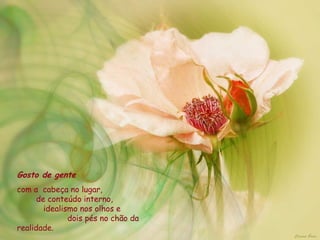 Gosto de gente  com a  cabeça no lugar,  de conteúdo interno,  idealismo nos olhos e  dois pés no chão da realidade.  