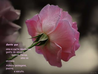 Gente que   ama e curte saudades, gosta de amigos,  cultiva flores,  ama os animais.  Admira paisagens, poeira;  e escuta.  