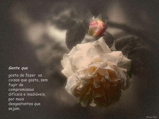 Gente que   gosta de fazer  as coisas que gosta, sem fugir de compromissos difíceis e inadiáveis, por mais desgastantes que sejam.  