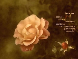 Gente que  acolhe,  orienta,  se entende, aconselha,  busca a verdade e quer sempre aprender. 