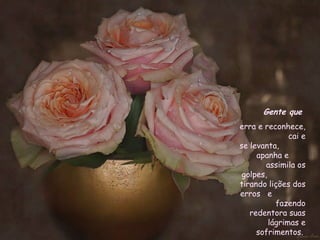 Gente que   erra e reconhece,  cai e se levanta,  apanha e  assimila os golpes,  tirando lições dos erros  e  fazendo redentora suas lágrimas e sofrimentos.  