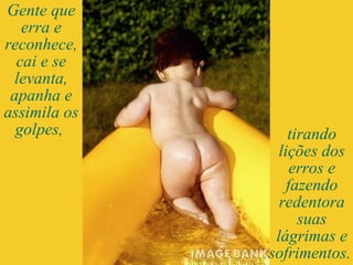 Gente que erra e reconhece, cai e se levanta, apanha e assimila os golpes,  tirando lições dos erros e fazendo redentora suas lágrimas e sofrimentos.  