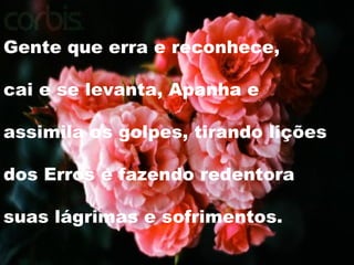 Gente que erra e reconhece, cai e se levanta, Apanha e  assimila os golpes, tirando lições dos Erros e fazendo redentora suas lágrimas e sofrimentos. 