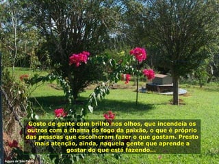 Gosto de gente com brilho nos olhos, que incendeia os outros com a chama do fogo da paixão, o que é próprio das pessoas que escolheram fazer o que gostam. Presto mais atenção, ainda, naquela gente que aprende a gostar do que está fazendo...  Águas de São Pedro 