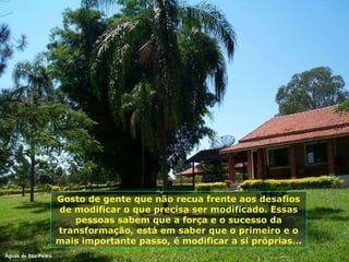 Gosto de gente que não recua frente aos desafios de modificar o que precisa ser modificado. Essas pessoas sabem que a força e o sucesso da transformação, está em saber que o primeiro e o mais importante passo, é modificar a si próprias... Águas de São Pedro 