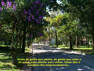 Gosto de gente que planta, de gente que colhe e de quem sabe plantar para colher. Esses têm a iniciativa dos empreendedores...   SESC Bertioga 