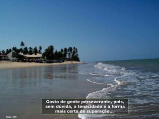 Gosto de gente perseverante, pois, sem dúvida, a tenacidade é a forma mais certa de superação...  Natal - RN 