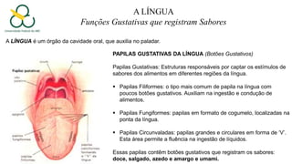 A LÍNGUA
Funções Gustativas que registram Sabores
A LÍNGUA é um órgão da cavidade oral, que auxilia no paladar.
PAPILAS GUSTATIVAS DA LÍNGUA (Botões Gustativos)
Papilas Gustativas: Estruturas responsáveis por captar os estímulos de
sabores dos alimentos em diferentes regiões da língua.
 Papilas Filiformes: o tipo mais comum de papila na língua com
poucos botões gustativos. Auxiliam na ingestão e condução de
alimentos.
 Papilas Fungiformes: papilas em formato de cogumelo, localizadas na
ponta da língua.
 Papilas Circunvaladas: papilas grandes e circulares em forma de ‘V’.
Esta área permite a fluência na ingestão de líquidos.
Essas papilas contêm botões gustativos que registram os sabores:
doce, salgado, azedo e amargo e umami.
 