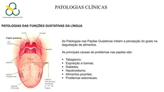 PATOLOGIAS CLÍNICAS
PATOLOGIAS DAS FUNÇÕES GUSTATIVAS DA LÍNGUA
As Patologias nas Papilas Gustativas inibem a percepção do gosto na
degustação de alimentos.
As principais causas de problemas nas papilas são:
 Tabagismo;
 Exposição a toxinas;
 Diabetes;
 Hipotiroidismo;
 Alimentos picantes;
 Problemas estomacais.
 