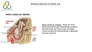 PATOLOGIAS CLÍNICAS
Nervo Corda do Tímpano - Ramo do nervo
facial responsável pela sensibilidade gustativa
dos dois terços da língua e pela inervação
motora da glândula submandibular e glândulas
salivares menores.
NERVO CORDA DO TÍMPANO
 