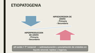 ETIOPATOGENIA
HIPOEXCRESION DE
URATO
- Primaria
- Secundaria
HIPERPRODUCCION
DE URATO
- Primaria
- Secundaria
pH acido + T°corporal → sobresaturación y precipitación de cristales en
liquido sinovial, tejidos y órganos.
 