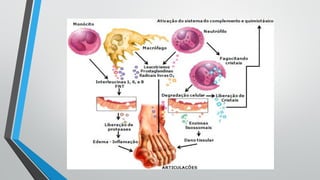 Fisiopatologia
 
