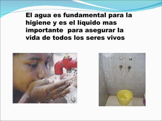 El agua es fundamental para la higiene y es el líquido mas importante  para asegurar la vida de todos los seres vivos 