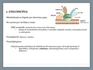 1. COLCHICINA:
•Metabolizada en hígado por citocromo p450.
•Se excreta por vía biliar y renal.
•ERC avanzada: aumento de 4 veces en la vida media
• Riesgo de acumulación intracelular y toxicidad: miopatía vacuolar, neuropatía axonal
o neutropenia.
•Toxicidad GI: diarrea y vómitos
•Toxicidad grave:
•Administración simultánea de inhibidores del citocromo p450 o de la glicoproteína P:
• Macrólidos, ciclosporina, estatinas, calcioantagonistas como verapamilo y
diltiazem…
 