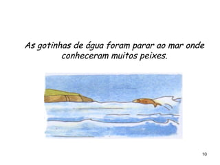 As gotinhas de água foram parar ao mar onde conheceram muitos peixes. 