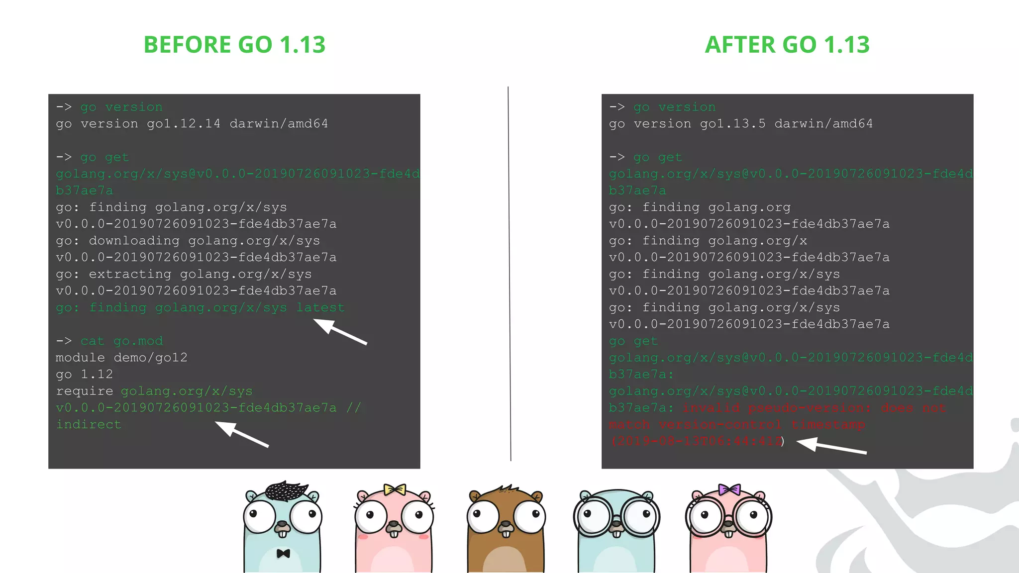 BEFORE GO 1.13 AFTER GO 1.13
-> go version
go version go1.13.5 darwin/amd64
-> go get
golang.org/x/sys@v0.0.0-20190726091023-fde4d
b37ae7a
go: finding golang.org
v0.0.0-20190726091023-fde4db37ae7a
go: finding golang.org/x
v0.0.0-20190726091023-fde4db37ae7a
go: finding golang.org/x/sys
v0.0.0-20190726091023-fde4db37ae7a
go: finding golang.org/x/sys
v0.0.0-20190726091023-fde4db37ae7a
go get
golang.org/x/sys@v0.0.0-20190726091023-fde4d
b37ae7a:
golang.org/x/sys@v0.0.0-20190726091023-fde4d
b37ae7a: invalid pseudo-version: does not
match version-control timestamp
(2019-08-13T06:44:41Z)
-> go version
go version go1.12.14 darwin/amd64
-> go get
golang.org/x/sys@v0.0.0-20190726091023-fde4d
b37ae7a
go: finding golang.org/x/sys
v0.0.0-20190726091023-fde4db37ae7a
go: downloading golang.org/x/sys
v0.0.0-20190726091023-fde4db37ae7a
go: extracting golang.org/x/sys
v0.0.0-20190726091023-fde4db37ae7a
go: finding golang.org/x/sys latest
-> cat go.mod
module demo/go12
go 1.12
require golang.org/x/sys
v0.0.0-20190726091023-fde4db37ae7a //
indirect
 