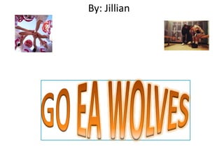 By: Jillian 
