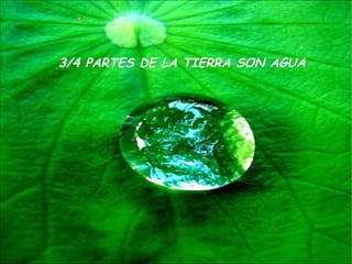 3/4 PARTES DE LA TIERRA SON AGUA 