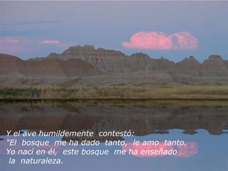 Y el ave humildemente contestó:
"El bosque me ha dado tanto, le amo tanto.
Yo nací en él, este bosque me ha enseñado
la naturaleza.
 