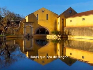 ...si lloras que sea de alegría
 