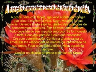 A oração aproxima você da fonte da vida. A prece, feita com fervor, liga você à fonte da energia que criou e mantém a Vida. Supre você de forças novas. Defende o seu espírito. Isola-o das projeções de pensamentos negativos. Faz de você uma fortaleza. Tudo depende de seu impulso amoroso. Se for honesto e forte, Deus o suprirá de tudo o que necessitar. Ore com determinação. Confie na grande usina do amor. Ela lhe responderá na medida da intensidade de sua prece. Faça-a um hábito diário. Nela, agradeça sempre. Confiar na eficácia da prece é confiar em Deus. 