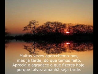 Muitas vezes apercebemo-nos, mas já tarde, do que temos feito. Aprecia e agradece o que fizeres hoje, porque talvez amanhã seja tarde. 