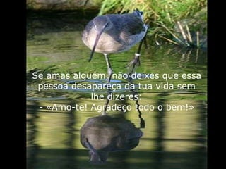Se amas alguém, não deixes que essa pessoa desapareça da tua vida sem lhe dizeres: - «Amo-te! Agradeço todo o bem!» 